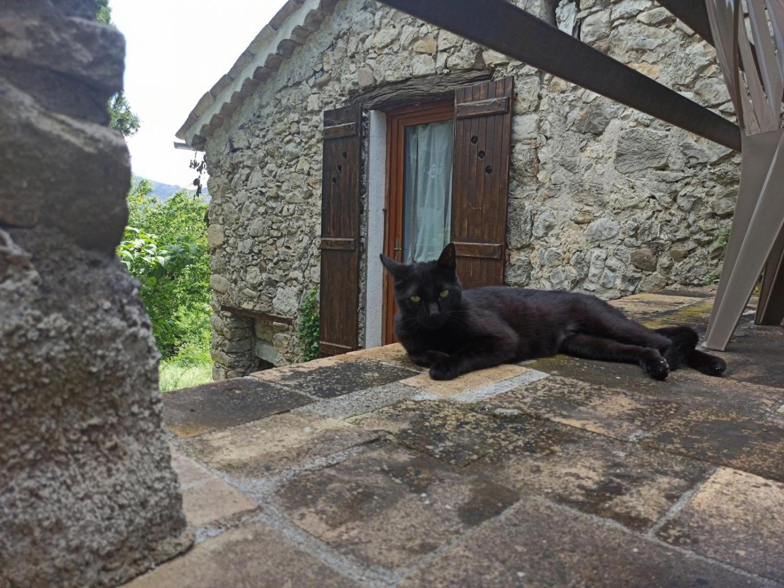 Chambres D'Hotes - La Maison De Julie อ็องเทรอโวซ์ ภายนอก รูปภาพ